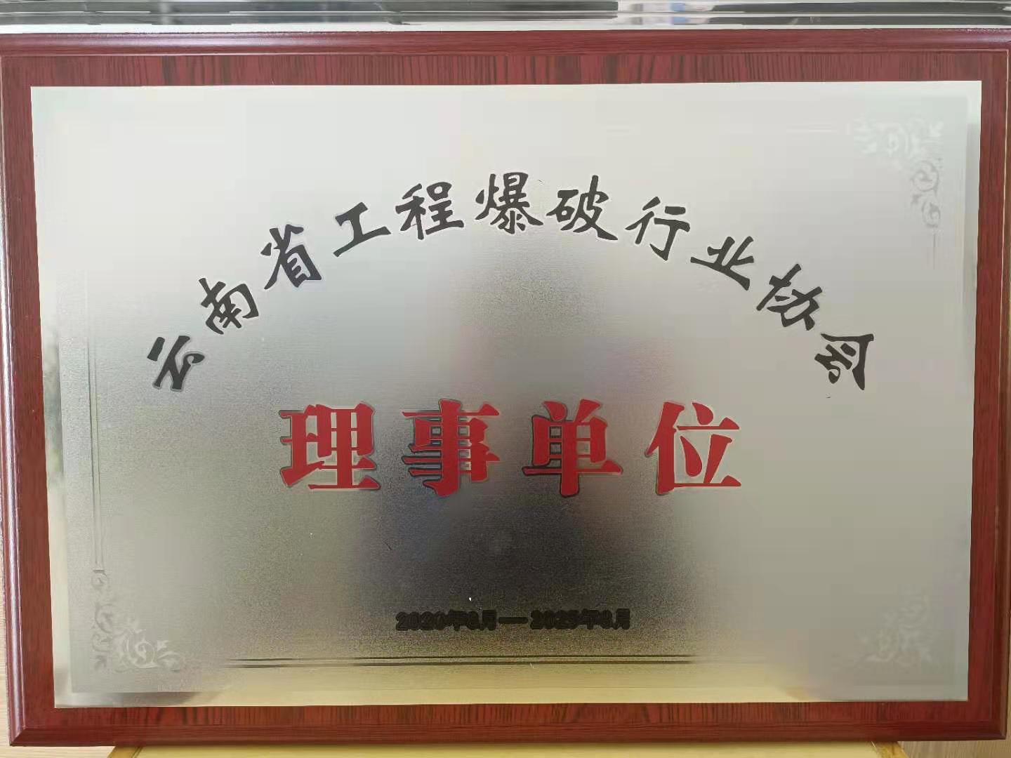 云南省工程爆破行业协会理事单位